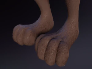 Naomi Anthro Fox 3D Model