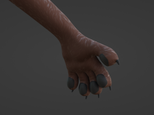 Naomi Anthro Fox 3D 模型
