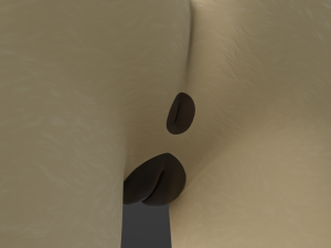 Naomi Anthro Fox 3D 模型