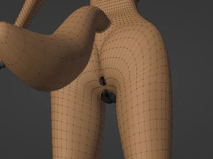 Naomi Anthro Fox 3D Model