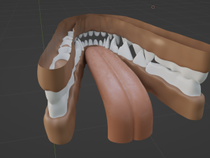 Naomi Anthro Fox 3D 模型