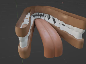 Naomi Anthro Fox 3D Model