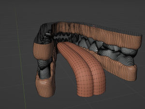 Naomi Anthro Fox 3D 模型