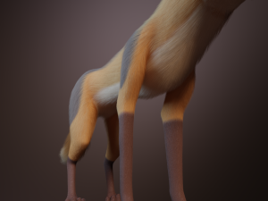 Yakov Fox 3D-Modell
