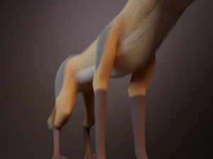 Yakov Fox 3D Model