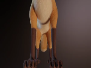 Yakov Fox 3D Model