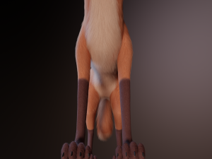 Nika Fox 3D Model