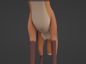 Nika Fox 3D Model