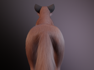 Vidgard Fox 3Dモデル