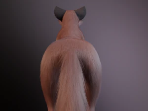 Vidgard Fox 3D Model