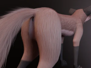 Vidgard Fox 3D Model