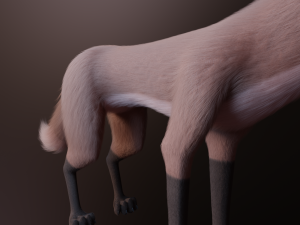 Vidgard Fox 3Dモデル