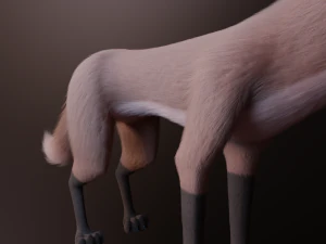 Vidgard Fox 3D Model