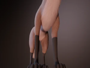 Vidgard Fox 3D Model