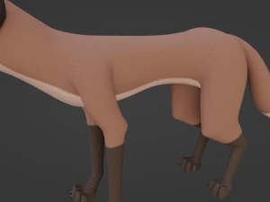 Vidgard Fox 3D Model