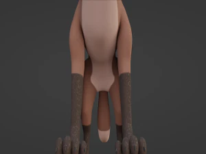 Vidgard Fox 3D Model