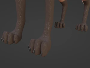 Vidgard Fox 3D Model