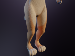 Rachel Anthro Dingo Model 3D