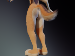 Rachel Anthro Dingo Model 3D