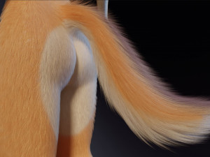 Rachel Anthro Dingo Model 3D