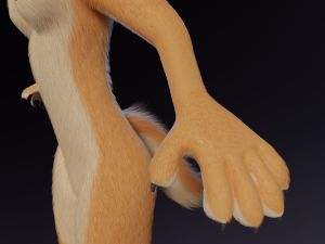 Rachel Anthro Dingo Model 3D