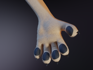 Rachel Anthro Dingo Model 3D