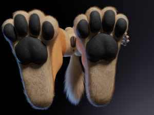 Rachel Anthro Dingo Model 3D