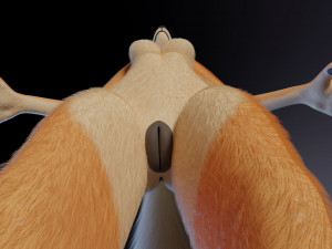 Rachel Anthro Dingo Model 3D
