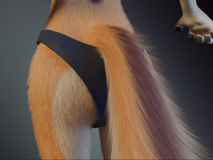 Rachel Anthro Dingo Model 3D