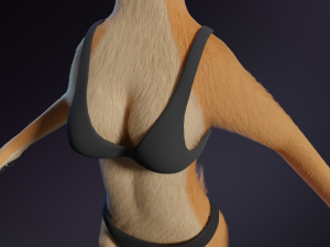 Rachel Anthro Dingo Model 3D