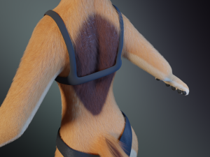 Rachel Anthro Dingo Model 3D