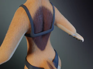 Rachel Anthro Dingo 3D Model
