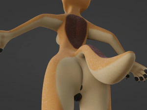 Rachel Anthro Dingo 3D Model