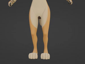 Rachel Anthro Dingo 3D Model