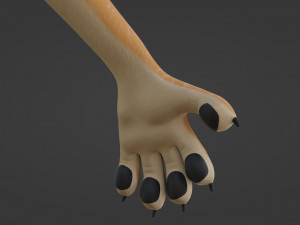 Rachel Anthro Dingo Model 3D