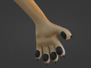 Rachel Anthro Dingo 3D Model