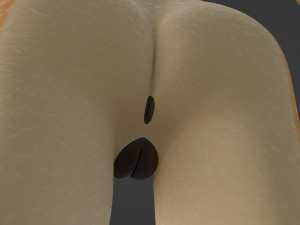 Rachel Anthro Dingo Model 3D