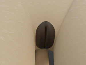 Rachel Anthro Dingo Model 3D