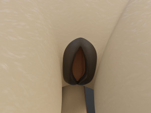 Rachel Anthro Dingo Model 3D
