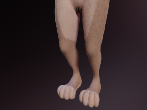 Maylin Anthro Wolf 3D Модель