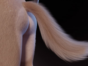 Maylin Anthro Wolf 3D Модель