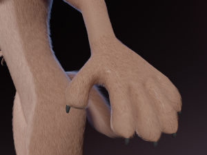 Maylin Anthro Wolf 3D Модель