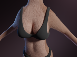 Maylin Anthro Wolf 3D Модель