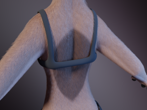 Maylin Anthro Wolf 3D Модель