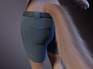 Maylin Anthro Wolf 3D Модель