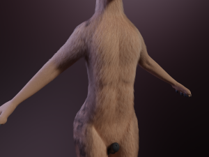 Kovu Anthro Wolf 3D Model