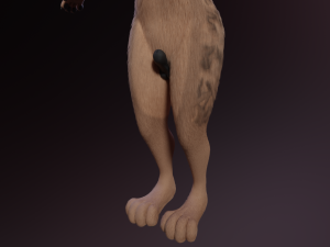 Kovu Anthro Wolf 3D Model