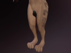 Kovu Anthro Lupo Modello 3D