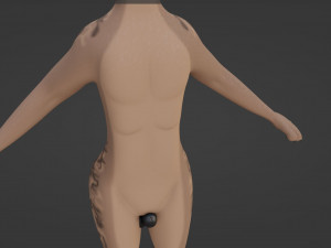 Kovu Anthro Wolf 3D Model