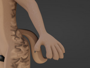 Kovu Anthro Wolf 3D Model